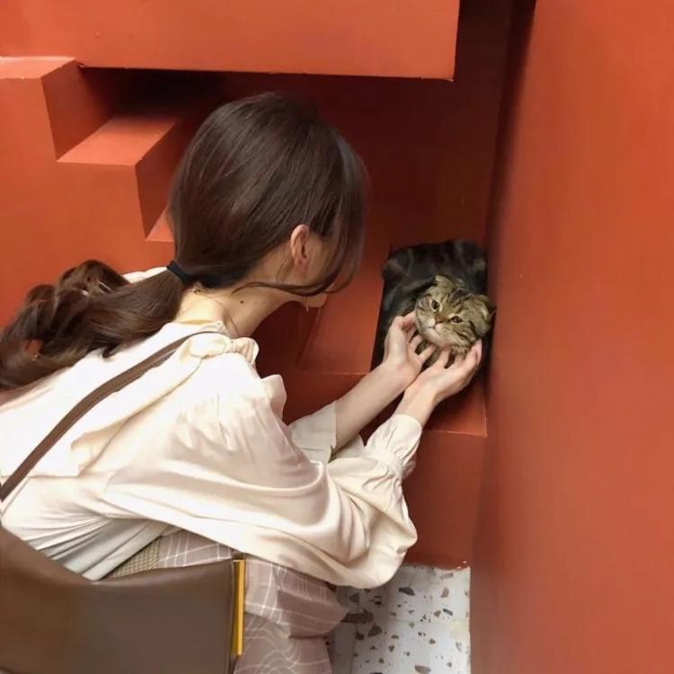 下司泰弘 - 影视解说合集在线观看 - 平板观看